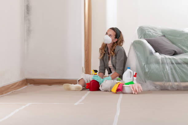 Reliable Mold Remediation contractor in Hamburg, MN by WQB Mold Removal